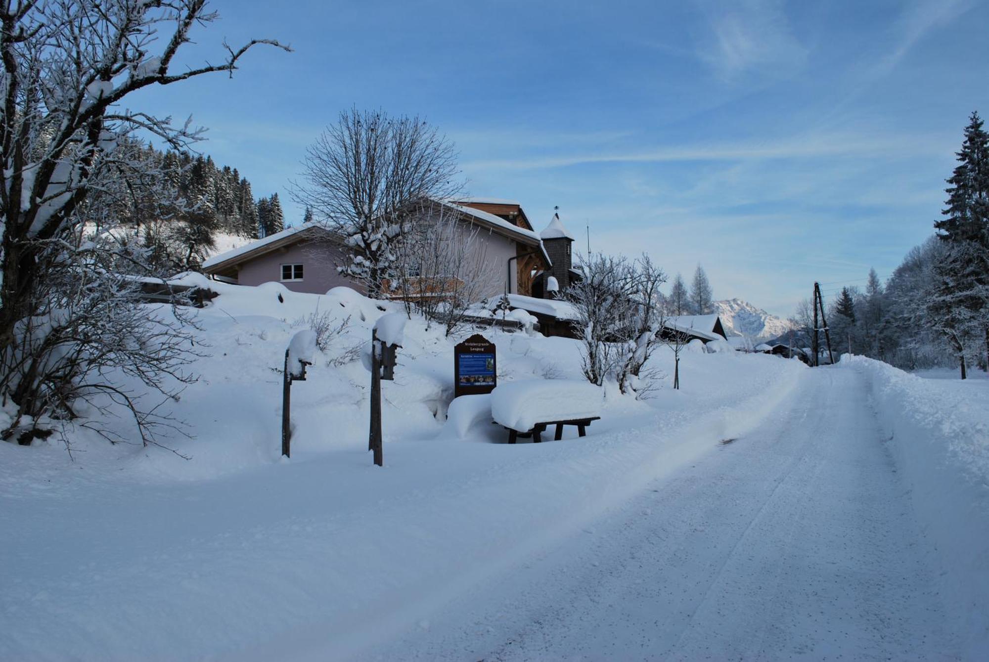 Appartement Haus Pichler Leogang Exterior photo