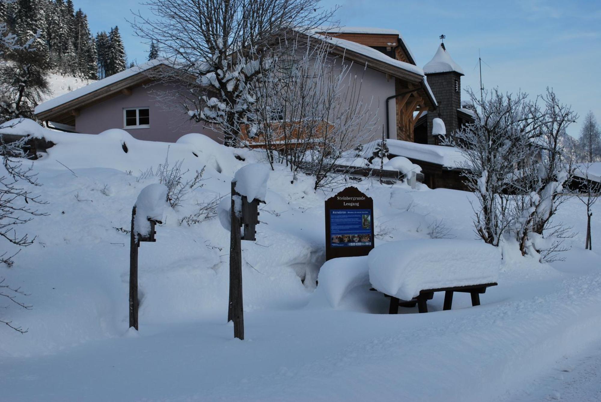 Appartement Haus Pichler Leogang Exterior photo